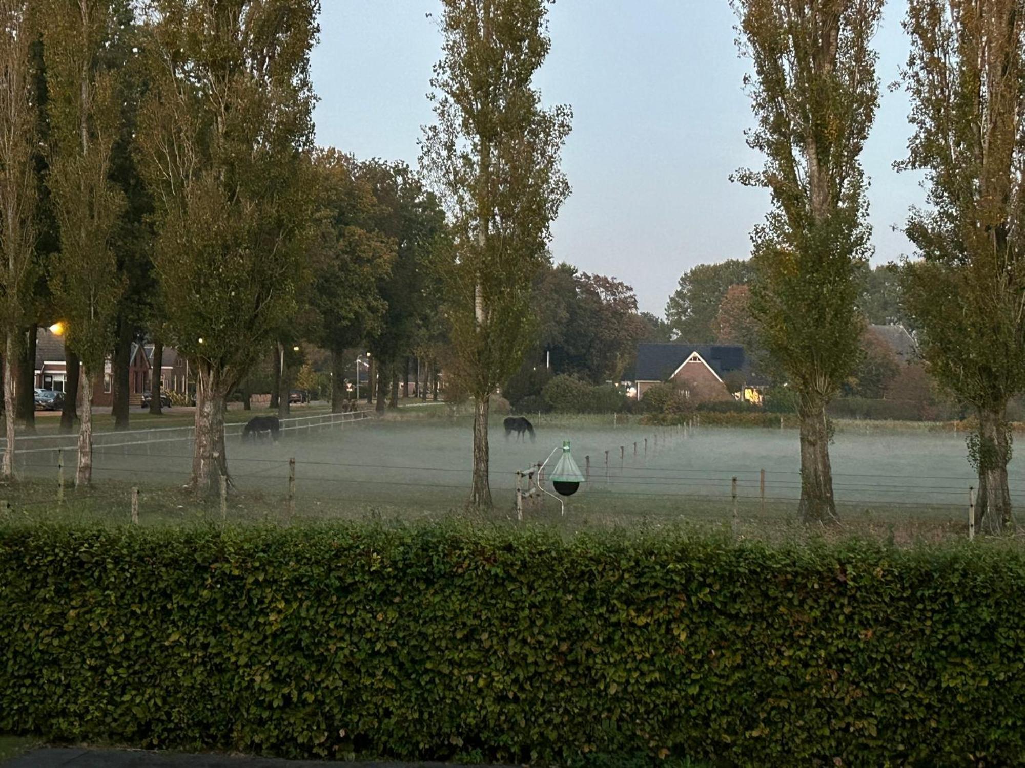 De Cordobahoeve Tweede Exloermond Esterno foto