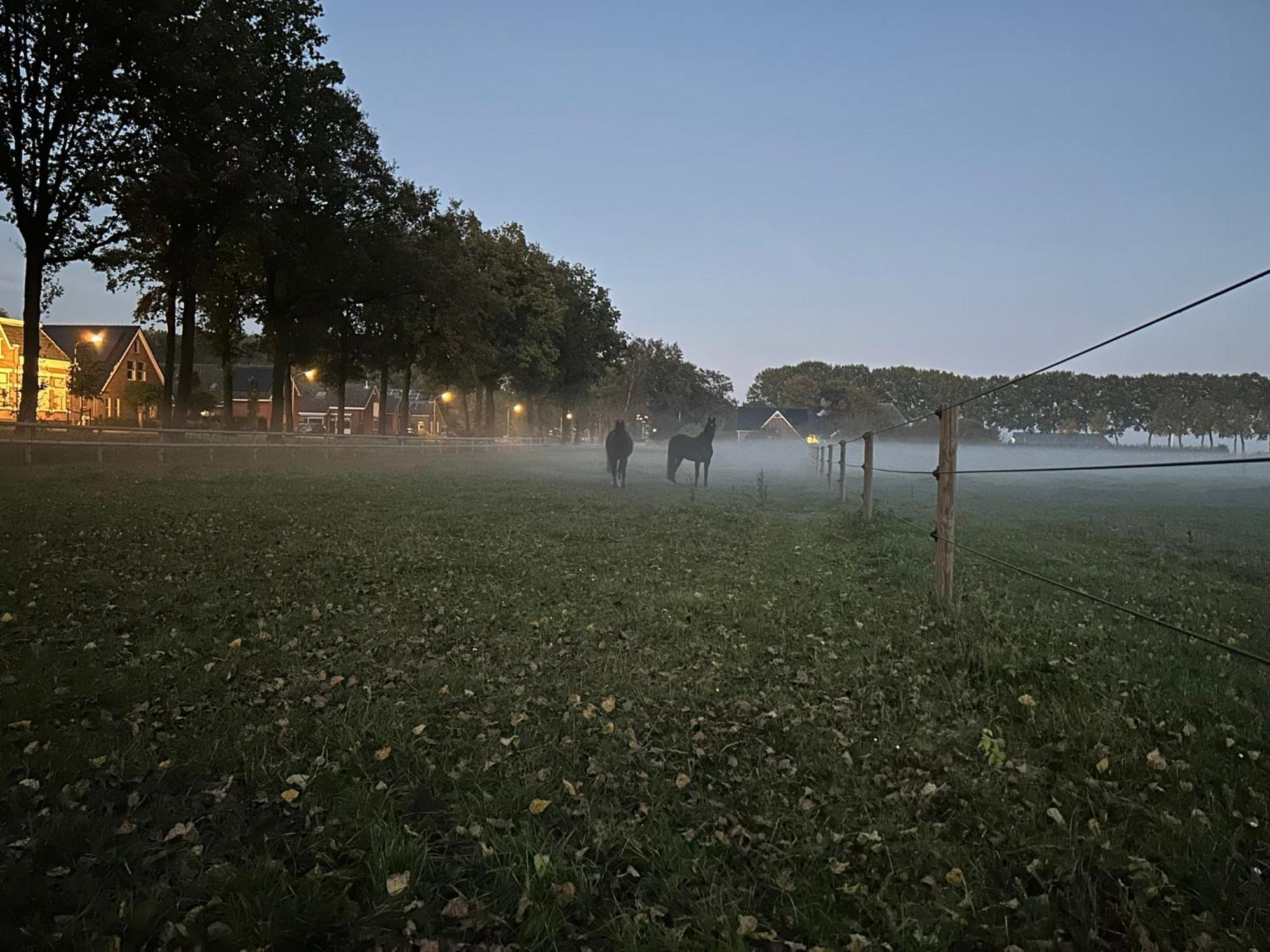 De Cordobahoeve Tweede Exloermond Esterno foto