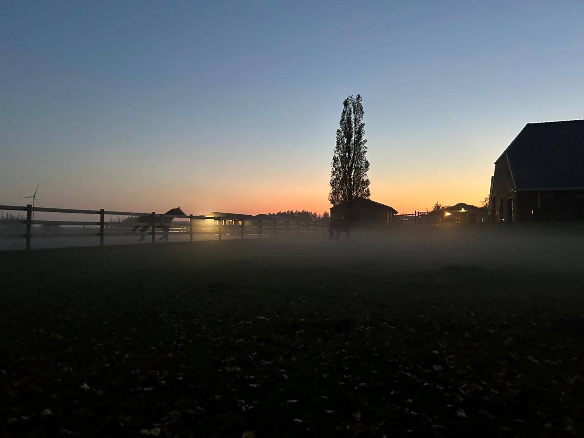 De Cordobahoeve Tweede Exloermond Esterno foto