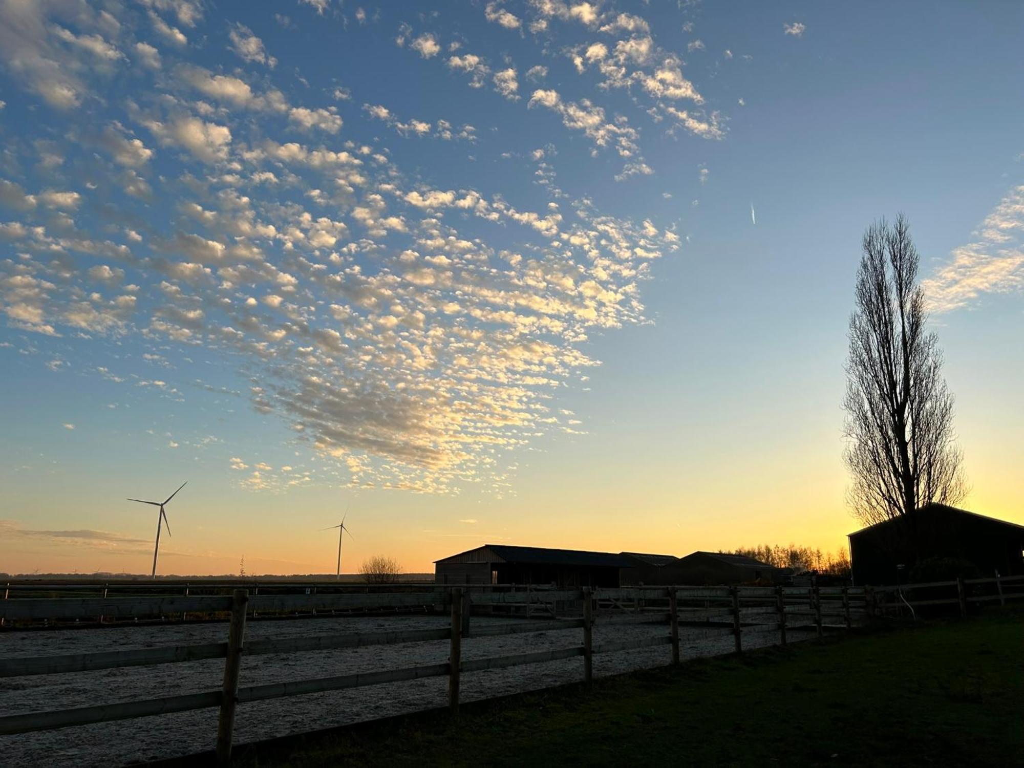 De Cordobahoeve Tweede Exloermond Esterno foto