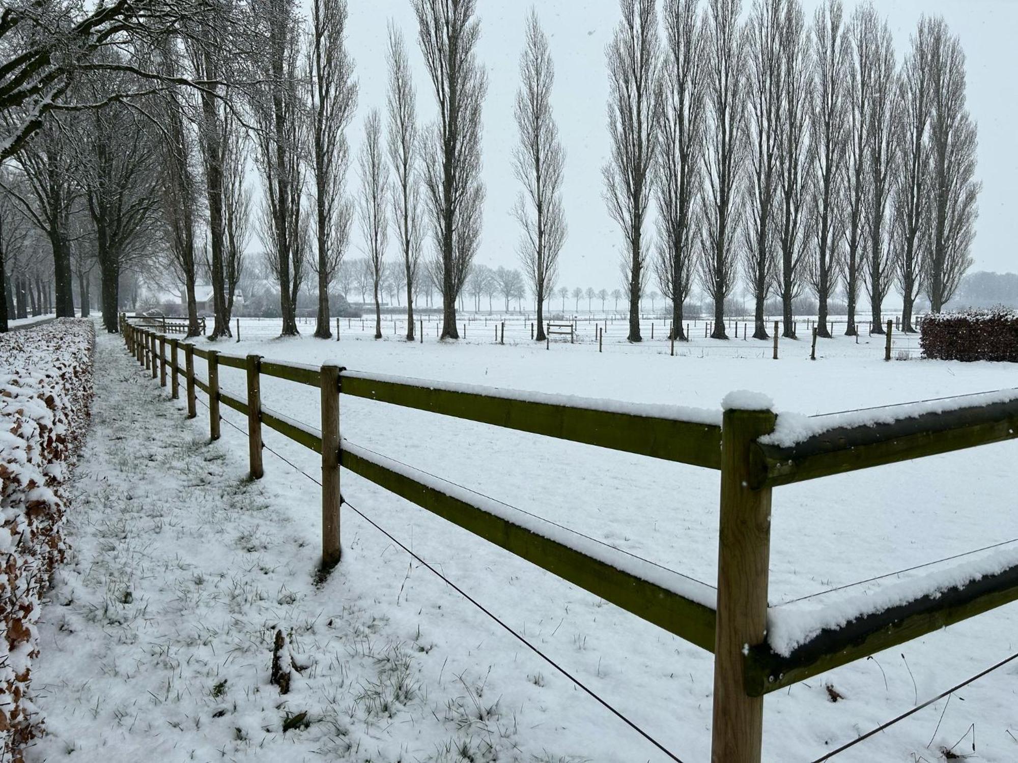 De Cordobahoeve Tweede Exloermond Esterno foto