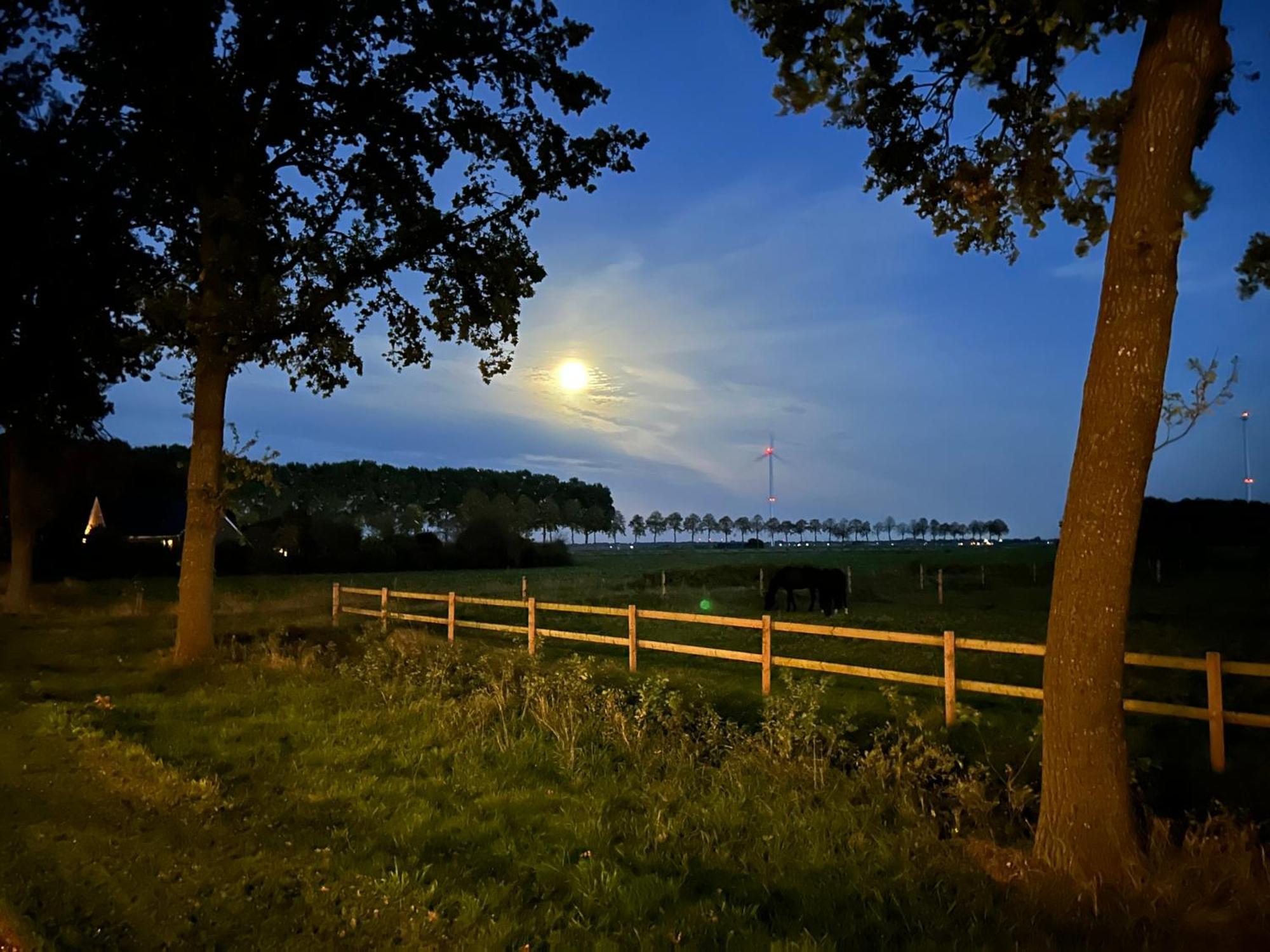 De Cordobahoeve Tweede Exloermond Esterno foto